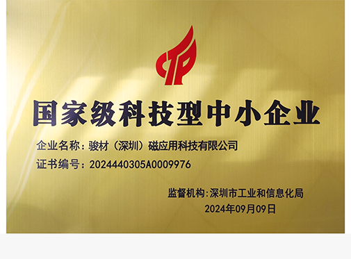 国家级科技型中小企业